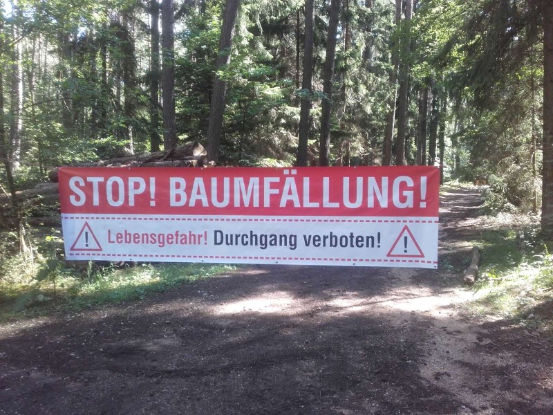 2018-07-07 Wald 1.jpg