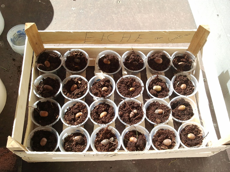 2012-09-28 11.54.17.jpg