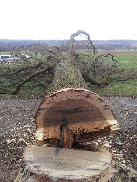 2012-03-31 15.01.00a.jpg