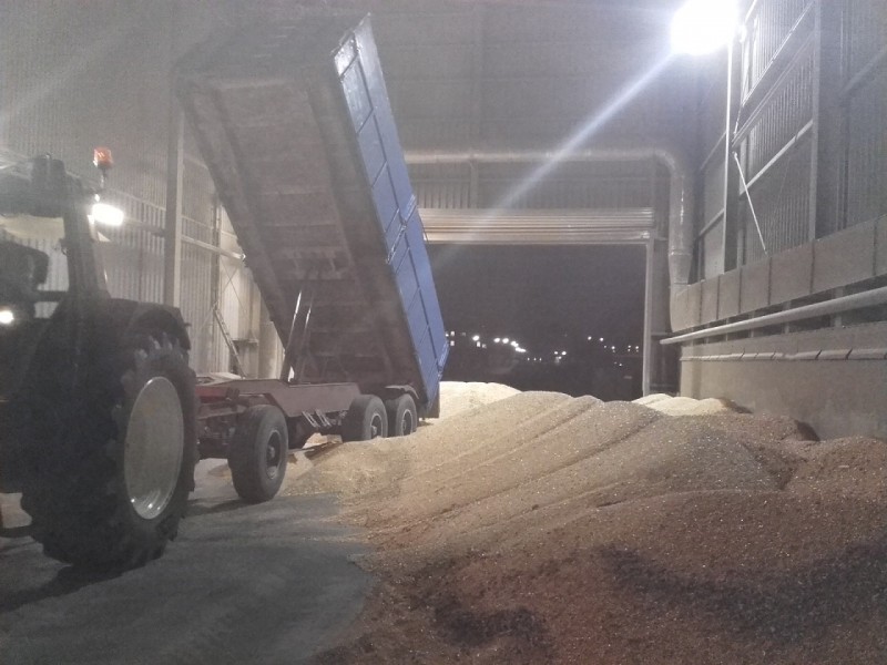 2016-10-27 Maisernte 3.jpg