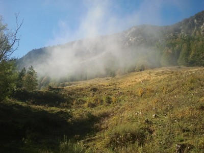 2013-10-03 10.41.10.jpg