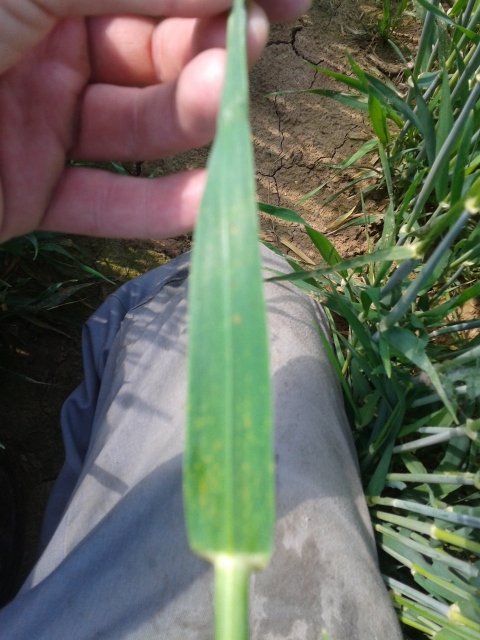 2015-05-14 11.05.01 (480x640).jpg