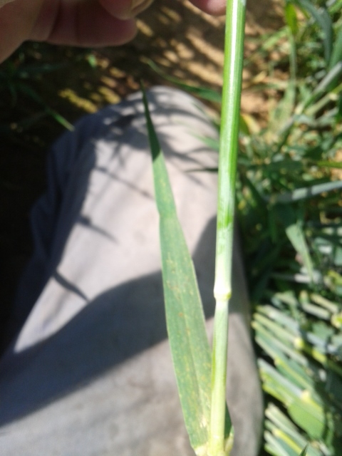 2015-05-14 11.05.18 (480x640).jpg