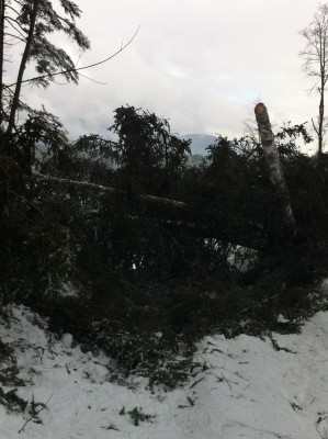 IMG_1395 - Kopie.JPG