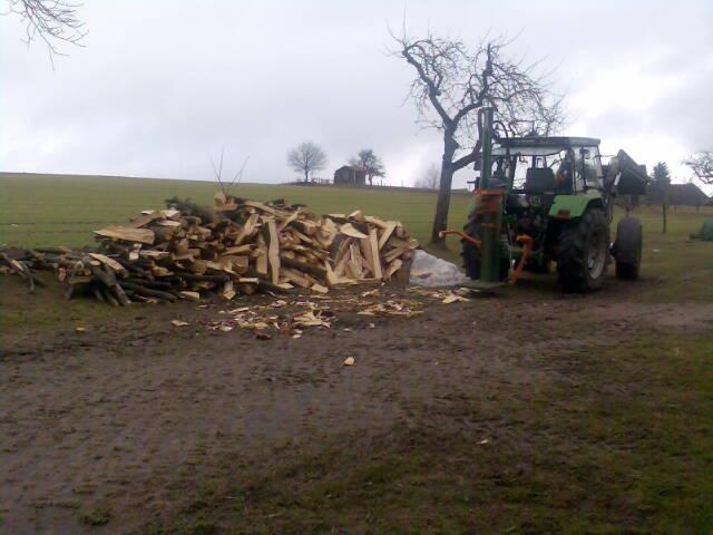 Holzaktion5.JPG