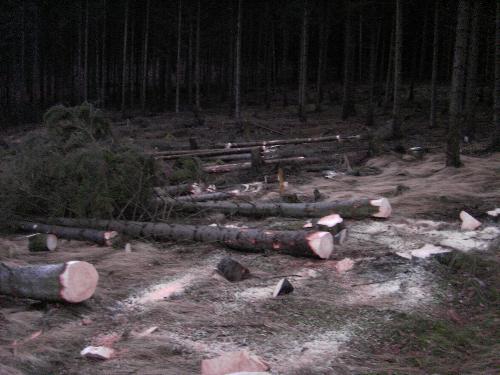 Abends.JPG