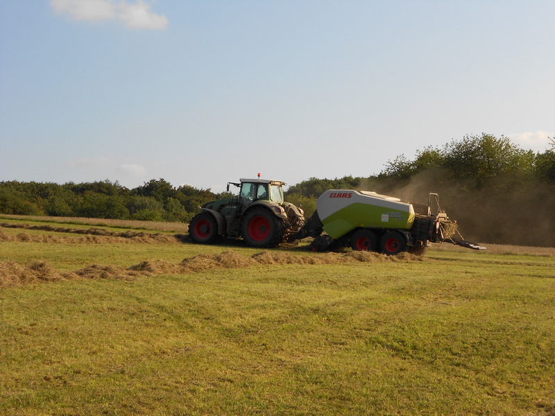 DSCN8590.JPG