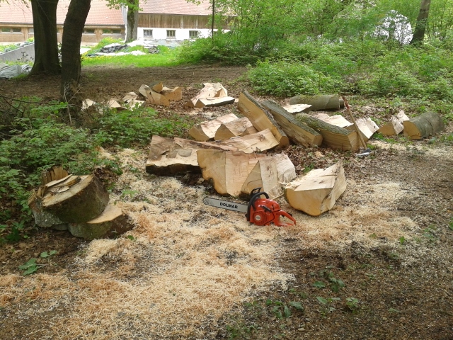 2015-05-09 13.55.31 (640x480).jpg