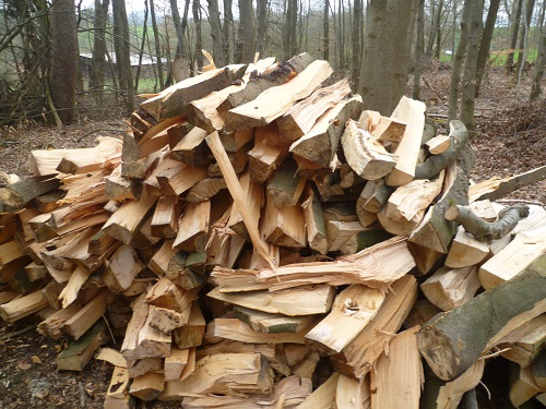 P1010092 - Kopie.JPG
