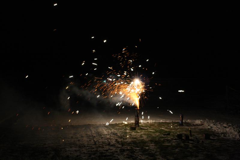 IMG_1085 (Medium).jpg