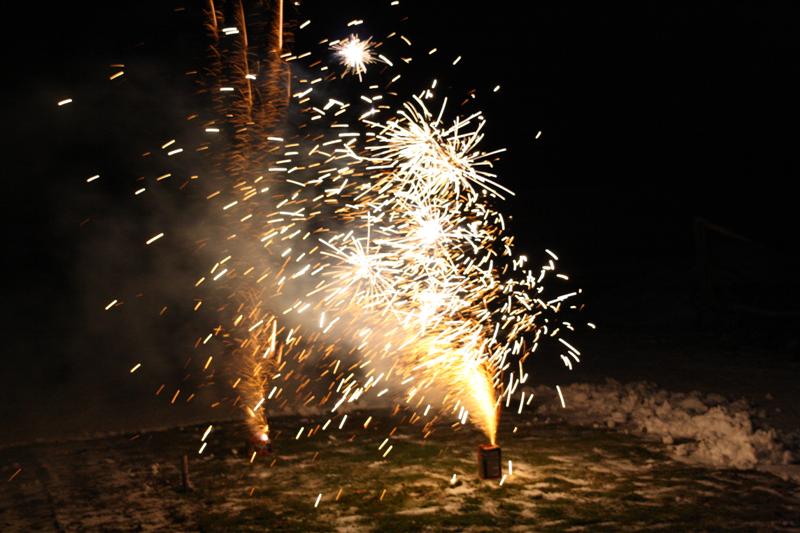 IMG_1037 (Medium).jpg