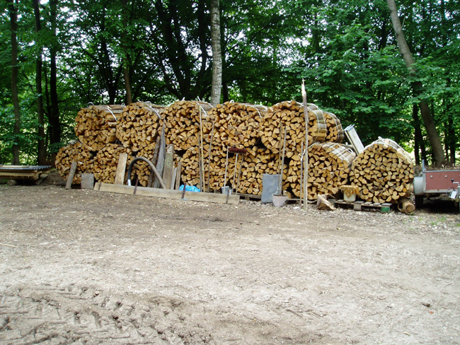 Ergebnis 2010 003.jpg