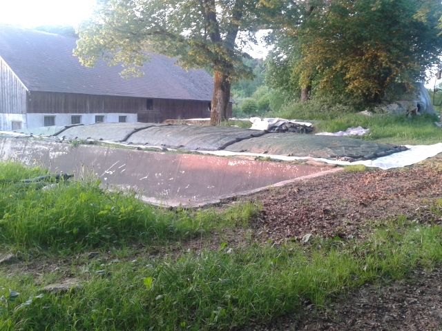 2015-05-17 20.26.13 (640x480).jpg