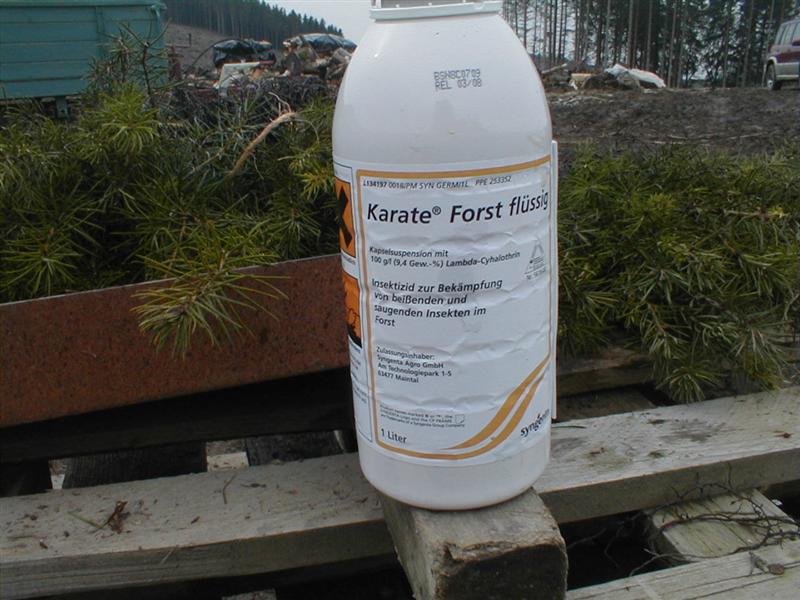 Bild 024 (Medium).jpg