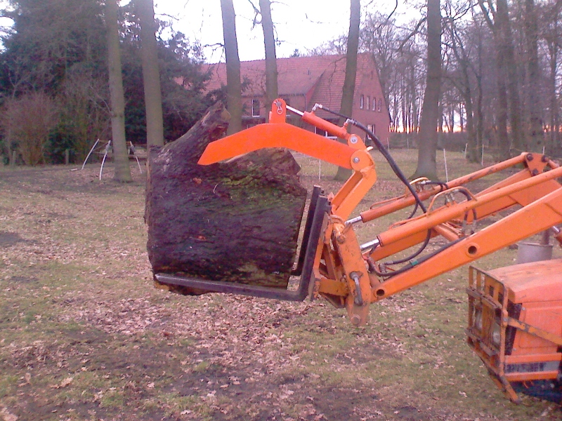 IMG012 (800x600).jpg