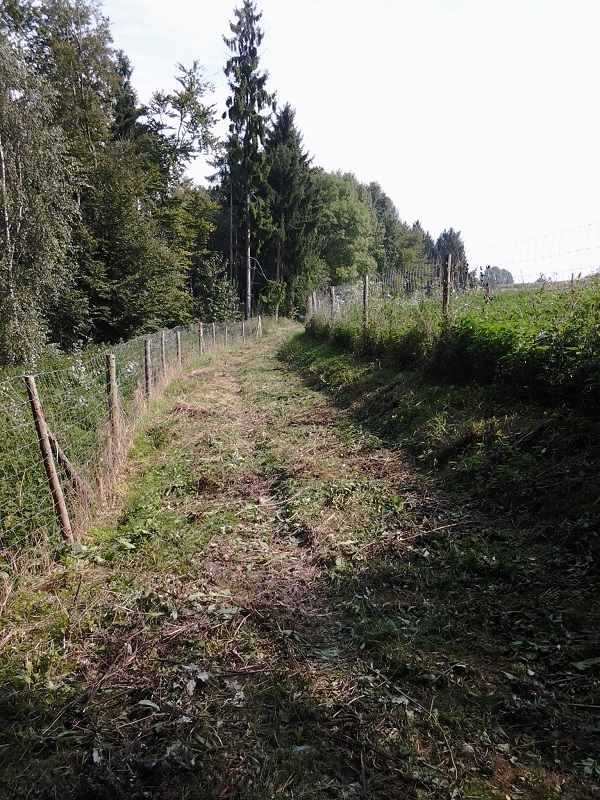 2014-09-10 12.24.42.jpg