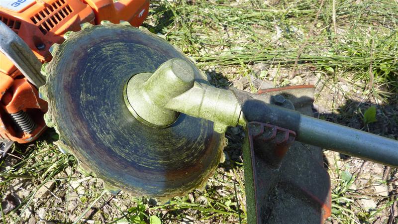 P1040764 (Medium).JPG