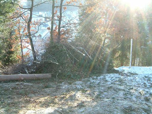 wald.verkl076.JPG