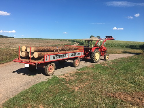 IMG_4144 - Kopie.JPG