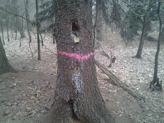 2012-04-07 12.22.38.jpg