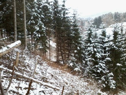 2015-01-24 14.34.57.jpg