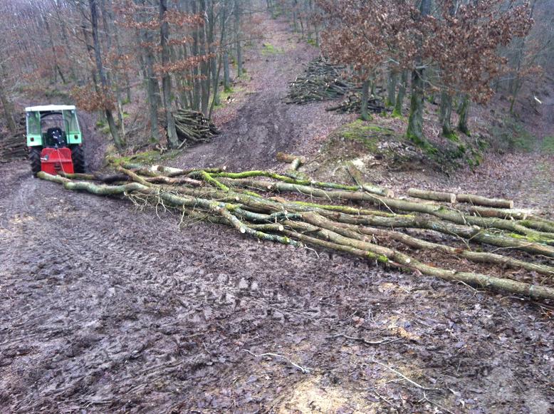 Eichen zusammen ziehen.jpg