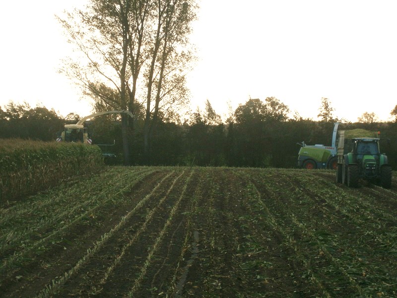 Bid X 700 & Jaguar 970.jpg