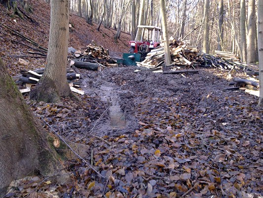 28112011089 (Kopie).jpg