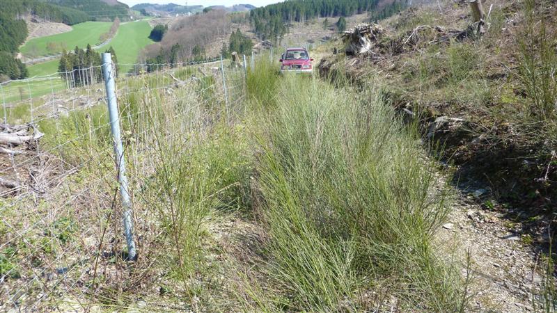 P1040760 (Medium).JPG