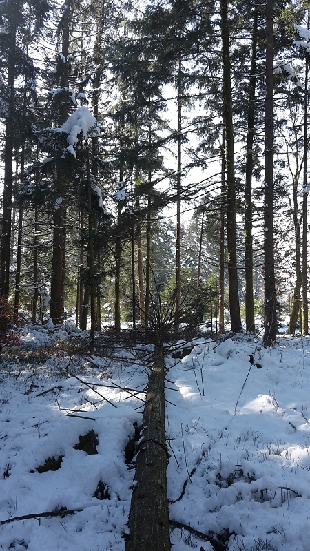 k-da sollte er hin.jpg