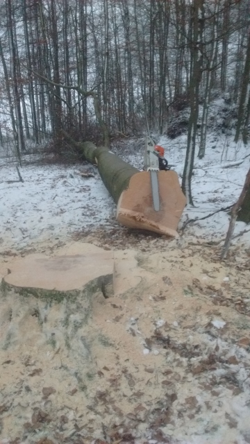 IMG_20170103_162431339 (360x640).jpg