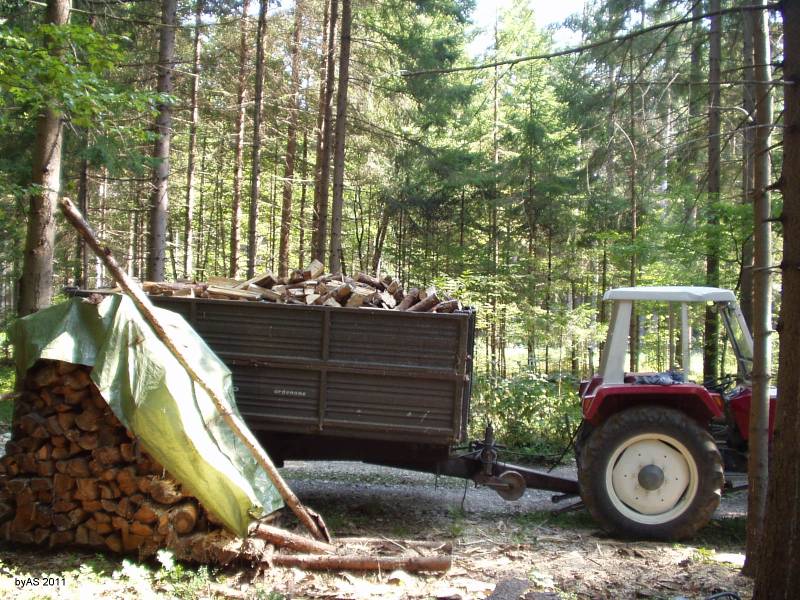 Brennholz_laden_P9210002_2.jpg