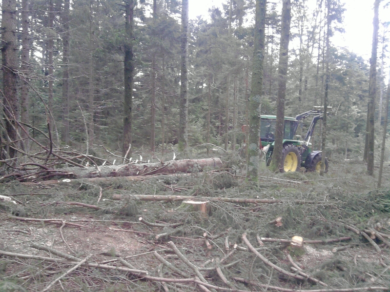 P130912_18.08_klein.jpg