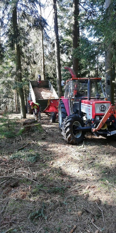 IMG-20200411-WA0001 klein.jpg