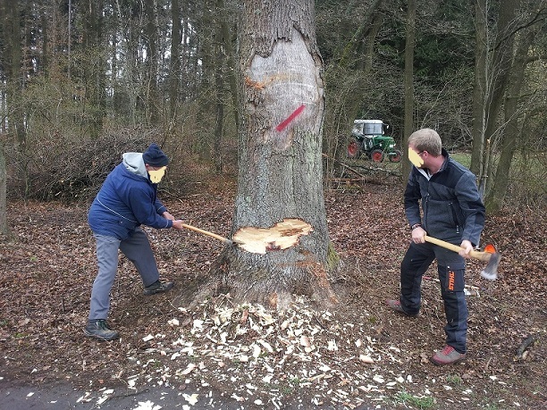 2012-03-31 14.11.48a.jpg