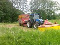 numoi neis zeigl_2.JPG