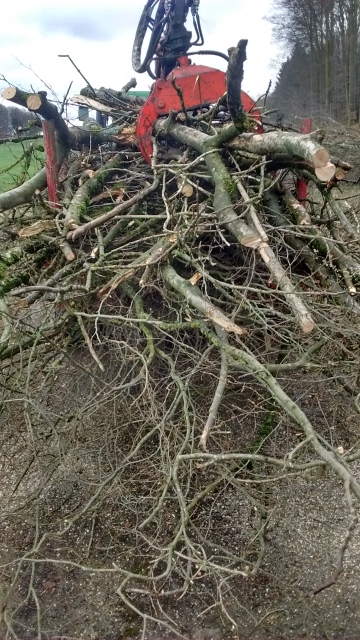 IMG_20160303_113846214_HDR (360x640).jpg