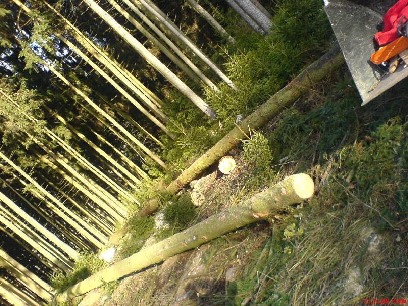 21-Nov-09_Holztag_V6.jpg
