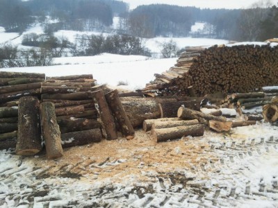 K1024_2014-02-01 14.43.58.JPG