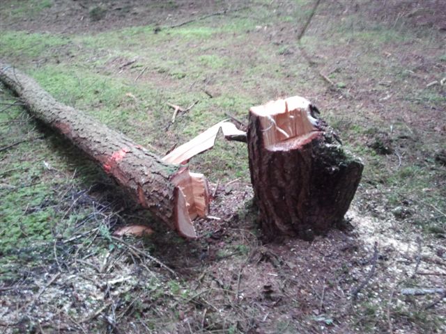 2012-11-17 11.07.10.jpg