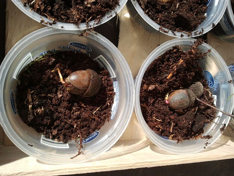 2012-09-28 11.54.31.jpg