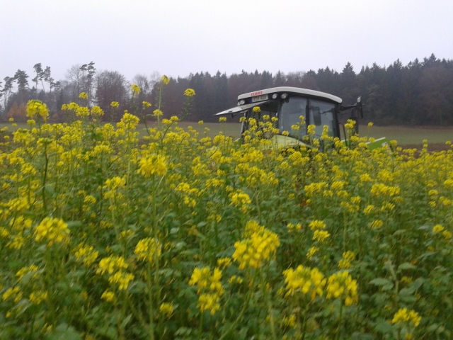 2012-11-15 14.43.29 (640x480).jpg