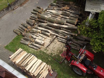 Holz Juni13 005.jpg