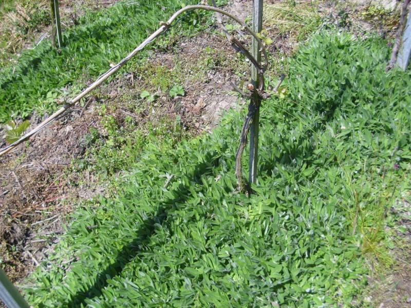 DSCI0828_klein.jpg