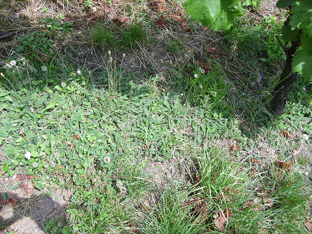 DSCI0765.JPG