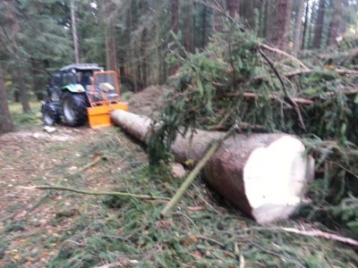 Bild4.jpg