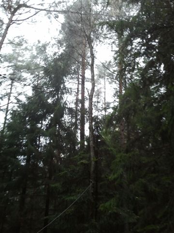 2012-11-17 13.38.39.jpg