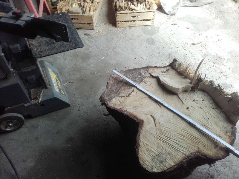 2019-06-09 Dürre Fichte 5.jpg