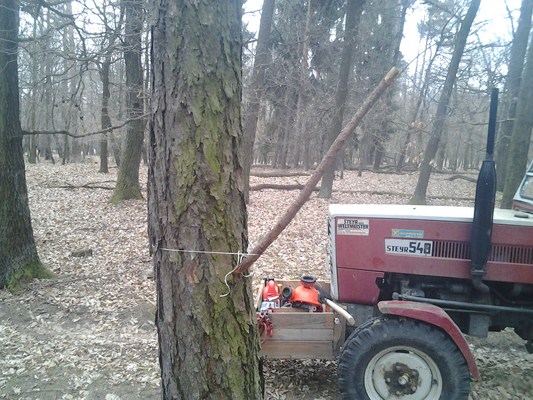 2012-04-07 12.01.45.jpg