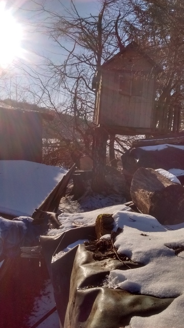 IMG_20170120_142515541_HDR (360x640).jpg